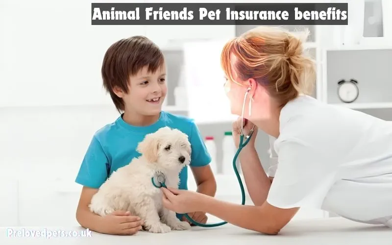 Animal Friends Pet Insurance benefits