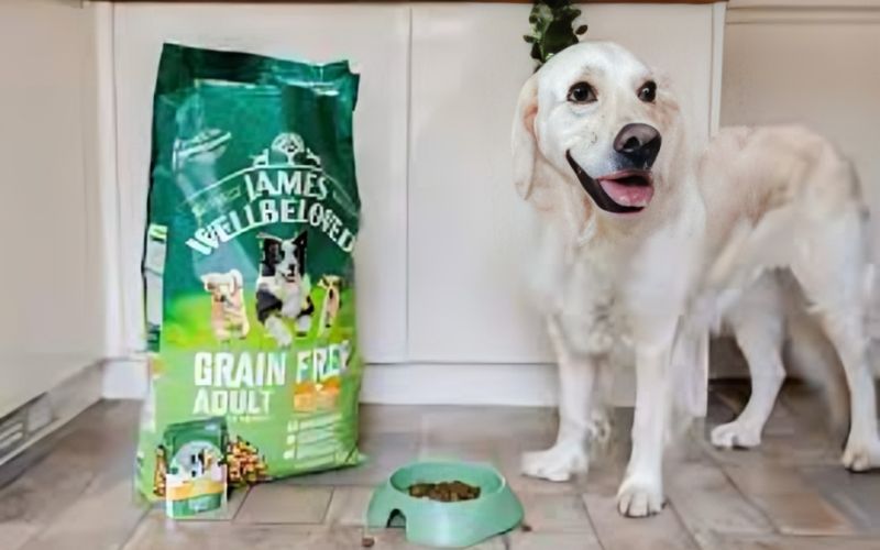 Best Dog Food UK