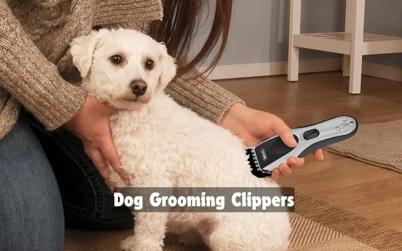 Dog Grooming Clippers