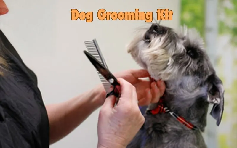 Dog Grooming Kit