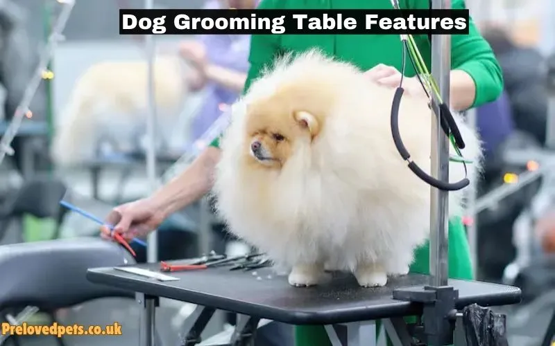 Dog Grooming Table