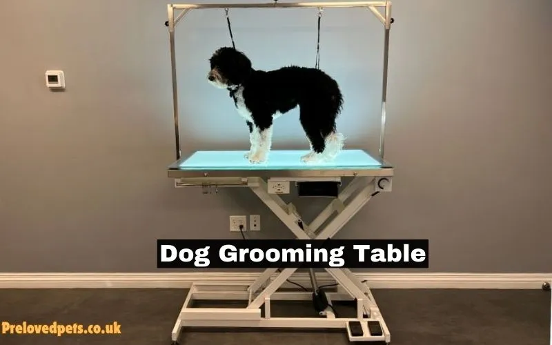 Dog Grooming Table