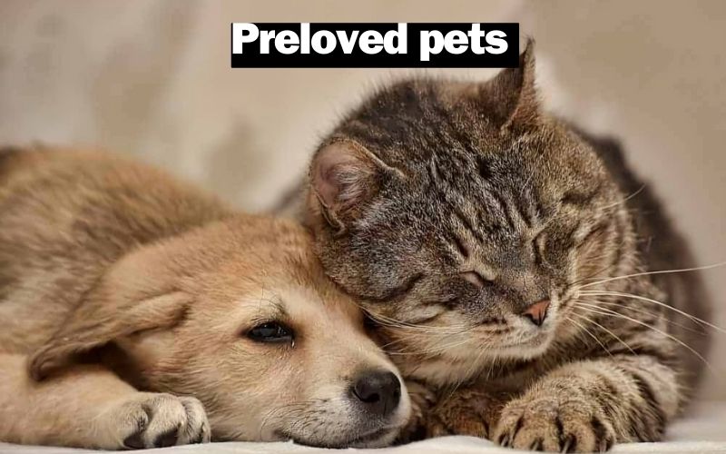 Preloved pets