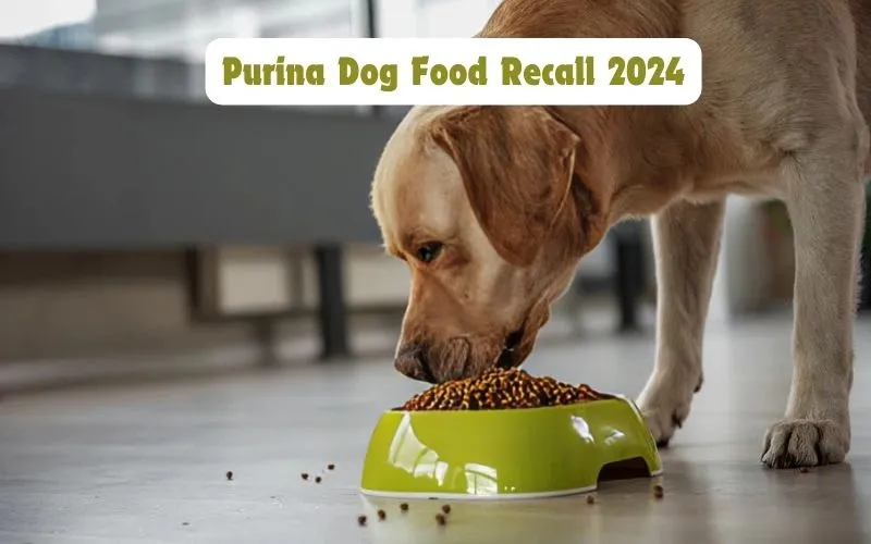 Purina Dog Food Recall 2024