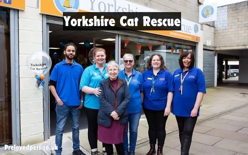 Yorkshire Cat Rescue