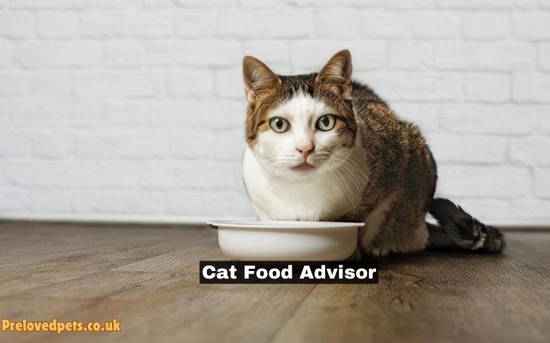 Cat Food Advisor