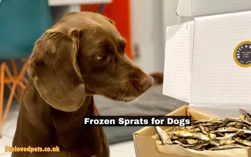 Frozen Sprats for Dogs