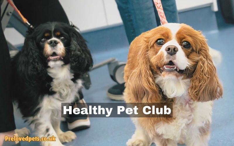 Healthy Pet Club