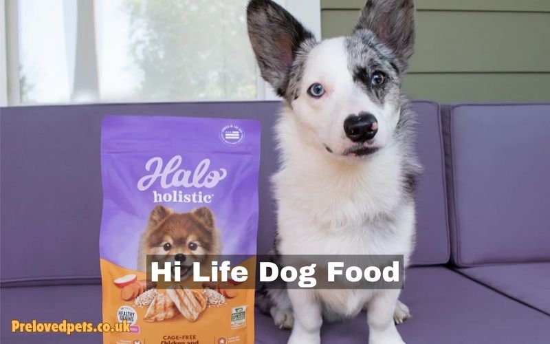 Hi Life Dog Food