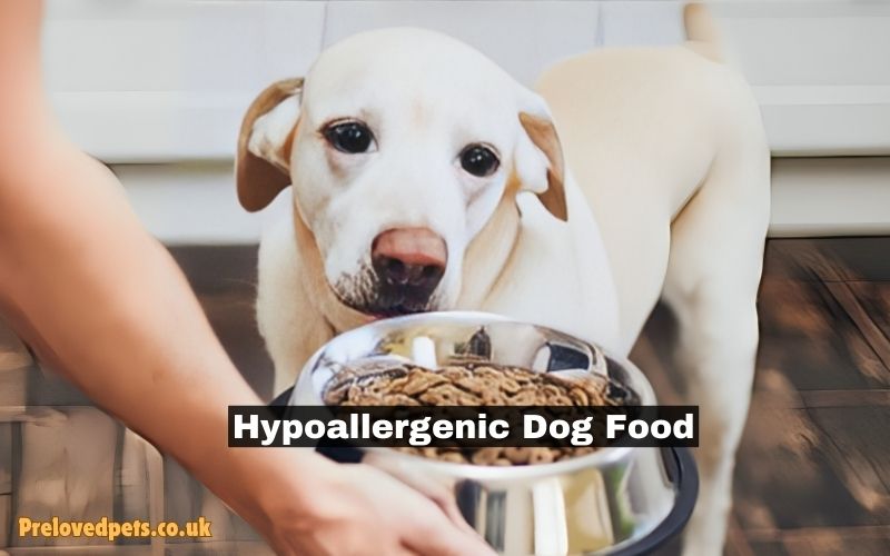 Hypoallergenic Dog Food