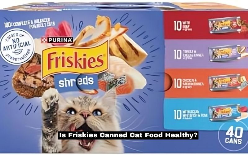 Is Friskies Canned Cat Food Healthy