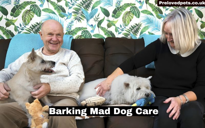 Barking Mad Dog Care