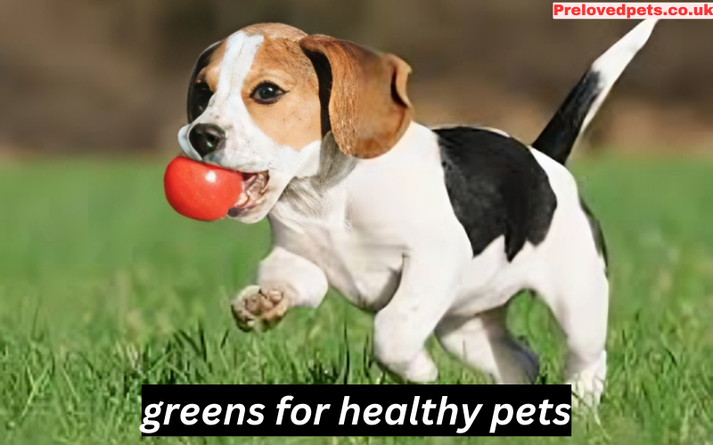 greens for healthy pets