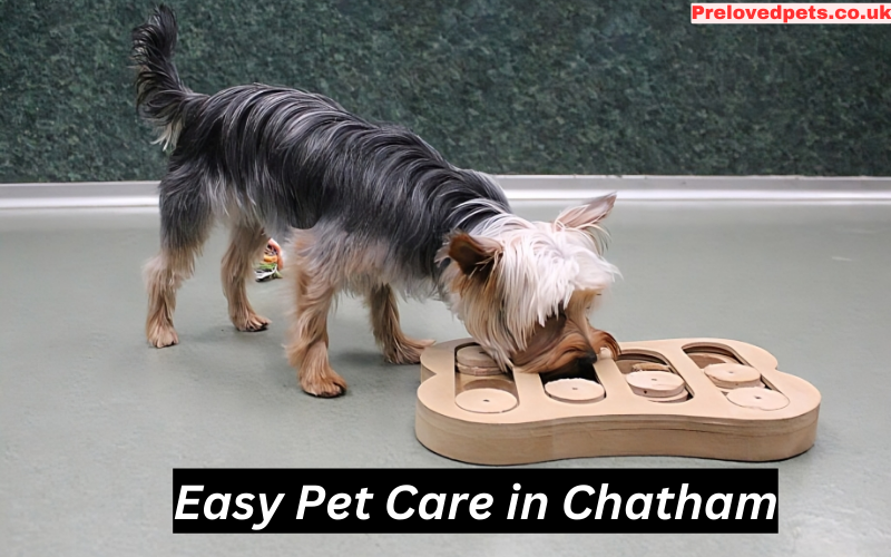 Easy Pet Care in Chatham