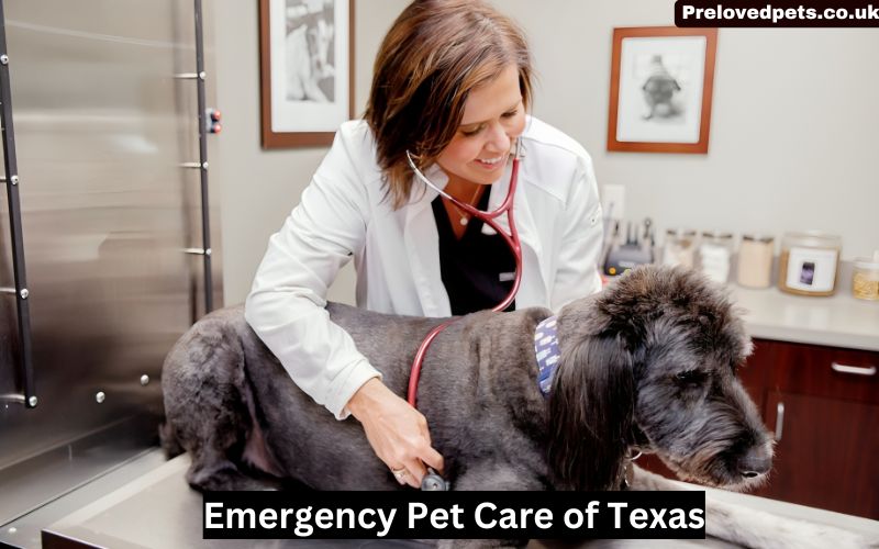 Emergency Pet Care of Texas