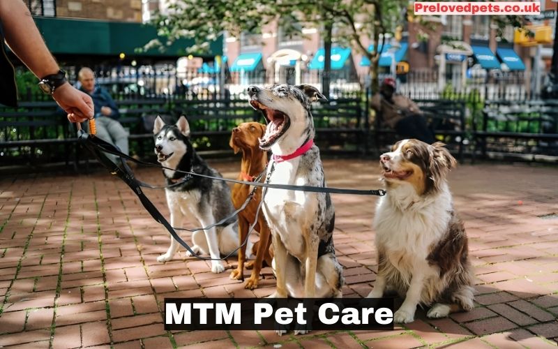 MTM Pet Care