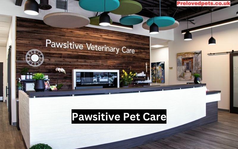 Pawsitive Pet Care