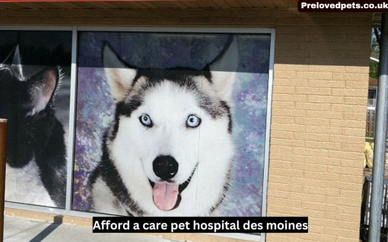 Afford a care pet hospital des moines